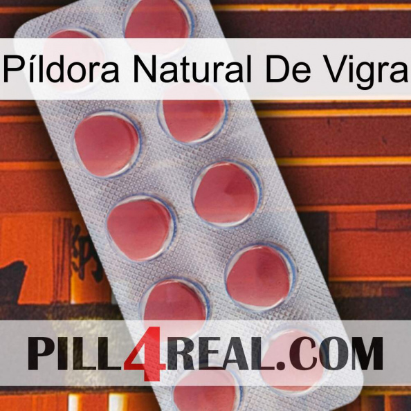 Píldora Natural De Vigra 18.jpg